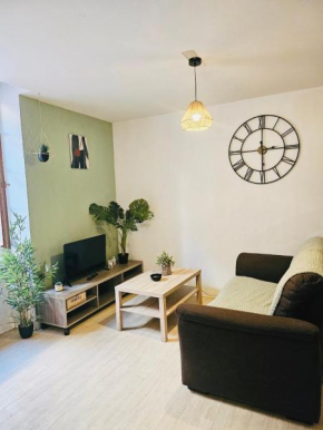 49 studio jungle centre-ville BOX A BAGAGES GRATUITS